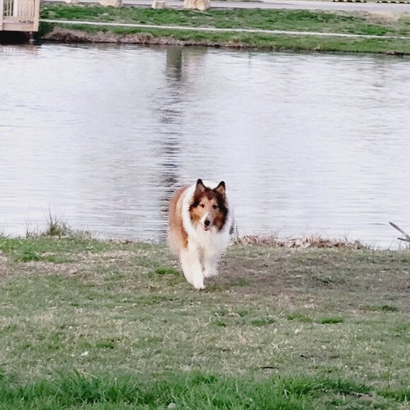 Meet your Posher, Christine - Picture 6 of 6